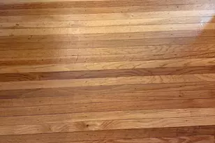 747 Greymont St, Philadelphia, PA 19116 - Photo 6