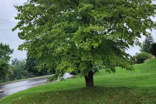 220 County Line Rd, Philadelphia, PA 19116 - Photo 48