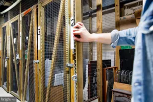 1520 Spruce St, Philadelphia, PA 19102 - Photo 20