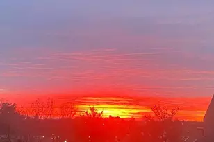 5100 Convent Ln, Philadelphia, PA 19114 - Photo 36