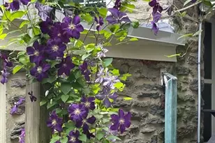 7807 Winston Rd, Philadelphia, PA 19118 - Photo 34