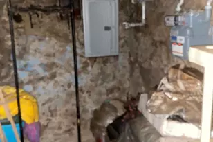 4955 Sheldon St, Philadelphia, PA 19144 - Photo 8