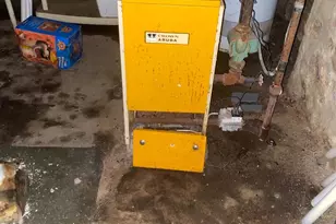 4955 Sheldon St, Philadelphia, PA 19144 - Photo 6