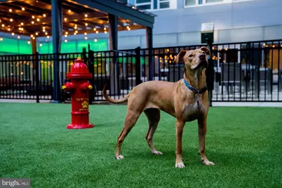 1900 Arch Street #1016, Philadelphia, PA 19103 - Photo 20