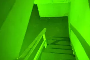 6729 Elmwood Ave, Philadelphia, PA 19142 - Photo 14