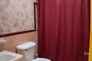 203 E Howell St, Philadelphia, PA 19120 - Photo 6