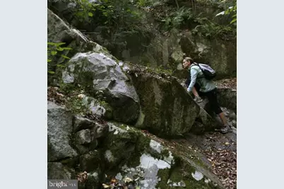 37 W Maplewood Mall, Philadelphia, PA 19144 - Photo 50