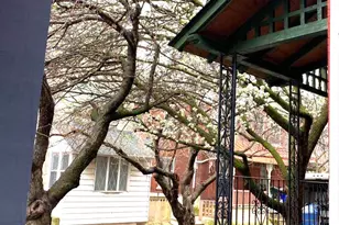 3215 Summer St, Philadelphia, PA 19104 - Photo 28