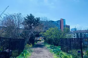 3215 Summer St, Philadelphia, PA 19104 - Photo 44