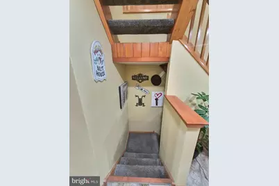 8908 Springview Road, Philadelphia, PA 19111 - Photo 54