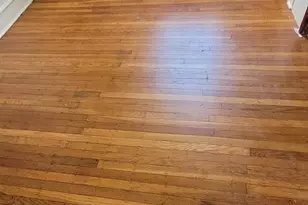 309 Rosemar St, Philadelphia, PA 19120 - Photo 24