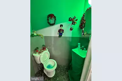 1052 Roy Street, Philadelphia, PA 19140 - Photo 12