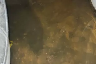 5614 Bloyd St, Philadelphia, PA 19138 - Photo 10