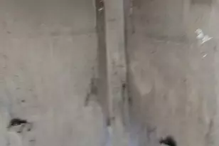 5614 Bloyd St, Philadelphia, PA 19138 - Photo 6