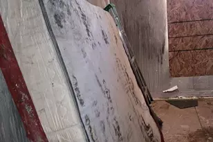 5614 Bloyd St, Philadelphia, PA 19138 - Photo 8