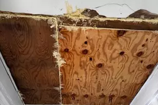 6056 Regent St, Philadelphia, PA 19142 - Photo 16