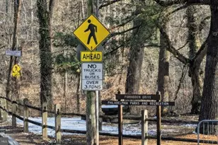 9019 Ayrdale Crescent St, Philadelphia, PA 19128 - Photo 22