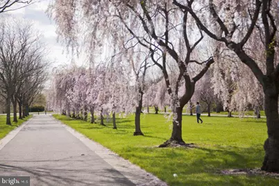 807 Cameron Street, Philadelphia, PA 19130 - Photo 20