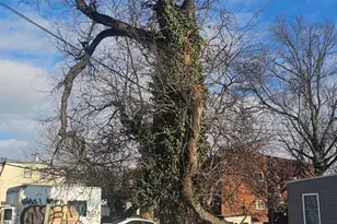 4801-4805 Van Kirk St, Philadelphia, PA 19135 - Photo 48