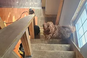 4801-4805 Van Kirk St, Philadelphia, PA 19135 - Photo 32