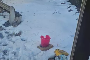 4801-4805 Van Kirk St, Philadelphia, PA 19135 - Photo 50