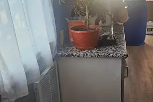 4801-4805 Van Kirk St, Philadelphia, PA 19135 - Photo 30