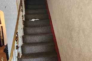 2650 S 61st St, Philadelphia, PA 19142 - Photo 6