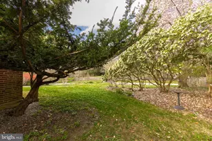 8862 Norwood Ave, Philadelphia, PA 19118 - Photo 46