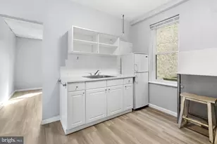 1003 S 13th St, Philadelphia, PA 19147 - Photo 42