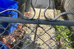 4405 Unruh Ave, Philadelphia, PA 19135 - Photo 46