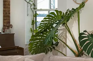 201 Green St, Philadelphia, PA 19123 - Photo 20