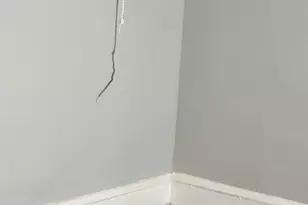 5630 Walnut St, Philadelphia, PA 19139 - Photo 28