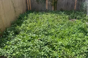 2242 N Carlisle St, Philadelphia, PA 19132 - Photo 18