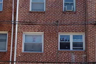 8506 Provident St, Philadelphia, PA 19150 - Photo 28
