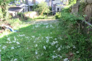 5022 Newhall St, Philadelphia, PA 19144 - Photo 32