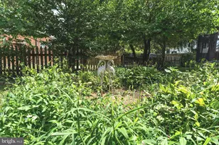 112 W Upsal St, Philadelphia, PA 19119 - Photo 94
