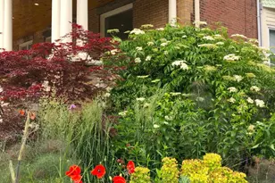 815 S 49th St, Philadelphia, PA 19143 - Photo 82
