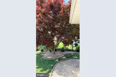 3737 President Street, Philadelphia, PA 19114 - Photo 106