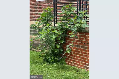 1431-35 Vista Street, Philadelphia, PA 19111 - Photo 20