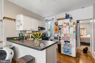 230 Hermitage St, Philadelphia, PA 19127 - Photo 16