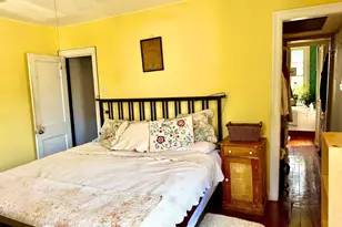 420 W Woodlawn St, Philadelphia, PA 19144 - Photo 36