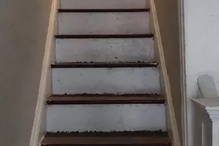 2070 Bellmore Ave, Philadelphia, PA 19134 - Photo 8