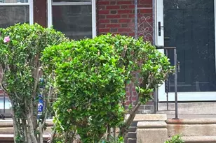 4514 N 16th St, Philadelphia, PA 19140 - Photo 2