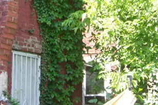 5503 Chancellor St, Philadelphia, PA 19139 - Photo 6