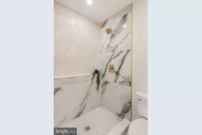 2431 9th Street S, Philadelphia, PA 19148 - Photo 46