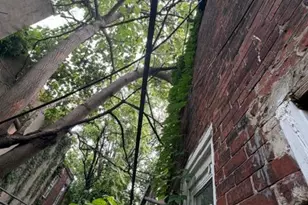 1319 S Wilton St, Philadelphia, PA 19143 - Photo 6