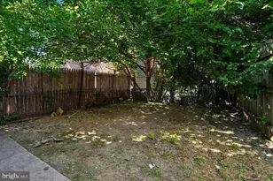 909 Lindley Ave, Philadelphia, PA 19141 - Photo 10