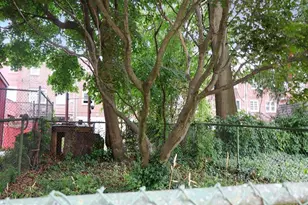 8022 Williams Ave, Philadelphia, PA 19150 - Photo 2