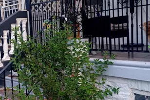 644 E Hilton St, Philadelphia, PA 19134 - Photo 2