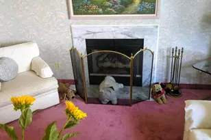1036 Hazelwood Dr, Philadelphia, PA 19150 - Photo 22